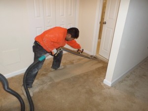 Flood Cleanup Technician Remediating Water Damage