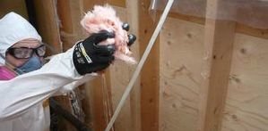 Mold Damage Restoration Of Attic